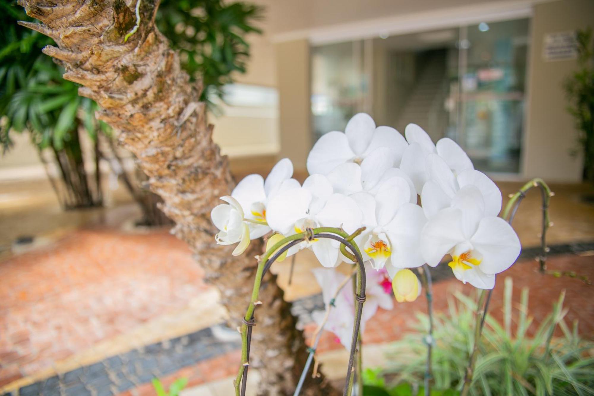 Paramar Praia Grande Ubatuba Ngoại thất bức ảnh