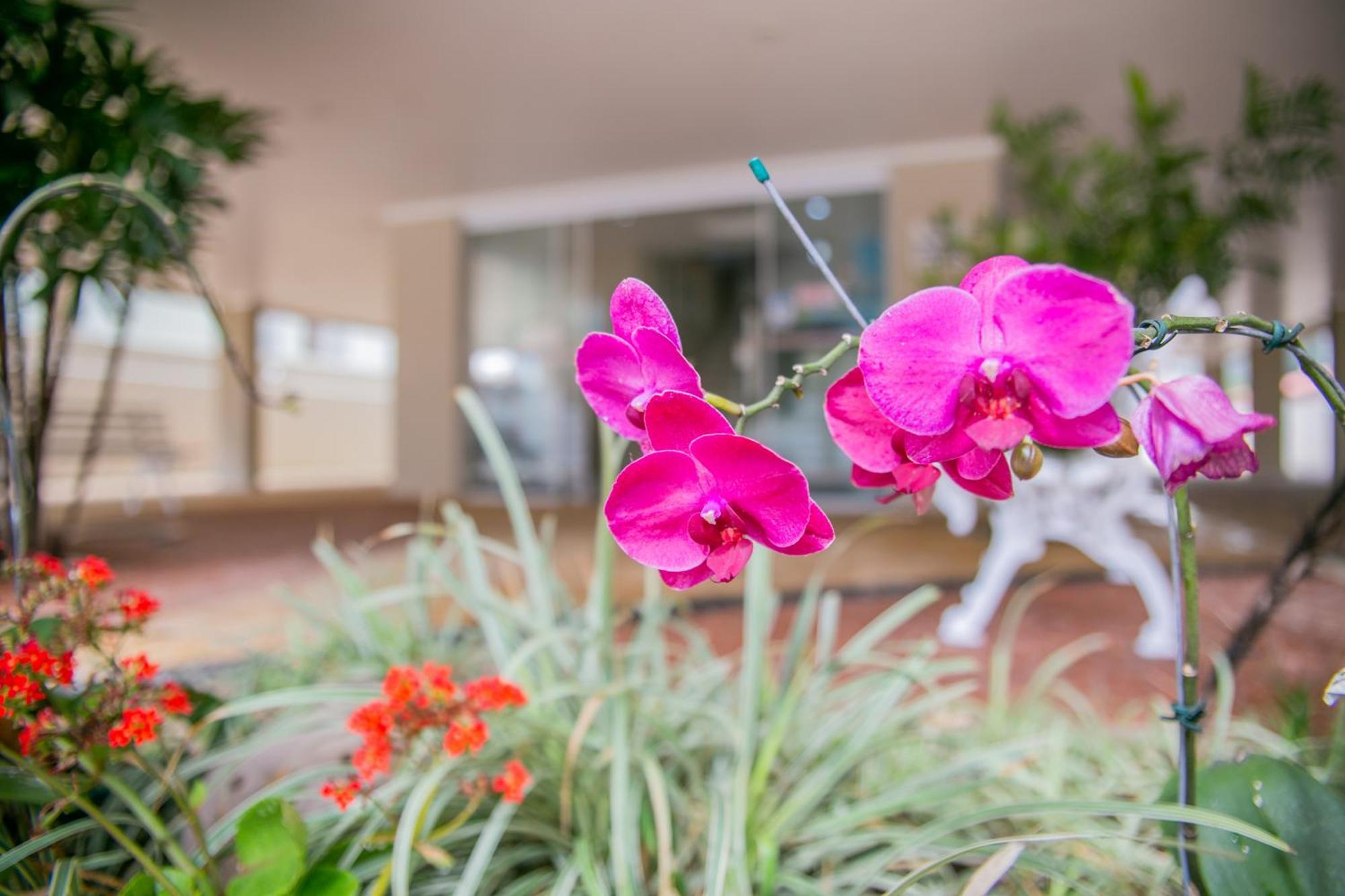 Paramar Praia Grande Ubatuba Ngoại thất bức ảnh